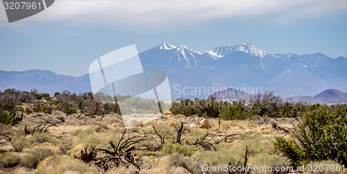 Image of landscape with Humphreys Peak Tallest in Arizona