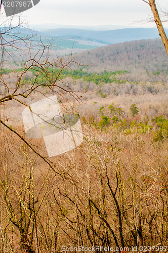 Image of Uwharrie Mountain range in north carolina