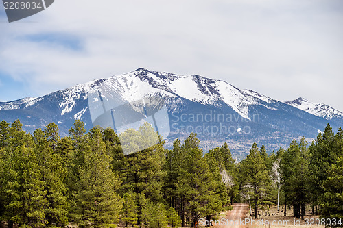 Image of landscape with Humphreys Peak Tallest in Arizona