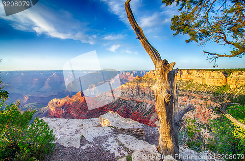 Image of Grand Canyon sunny day with blue sky