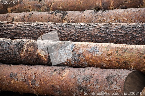 Image of Timber or saw timber