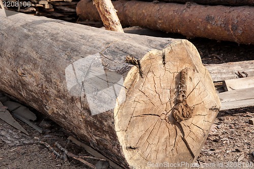 Image of Timber or lumber