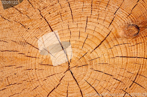 Image of Timber or saw timber