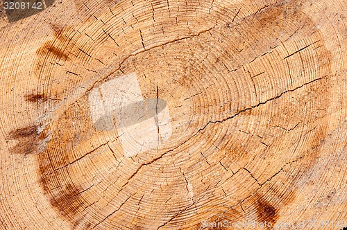 Image of Timber or saw timber