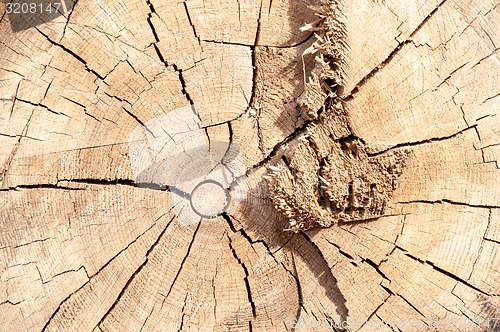 Image of Timber or lumber