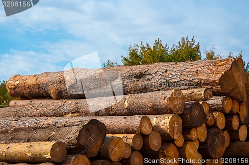 Image of Timber or lumber