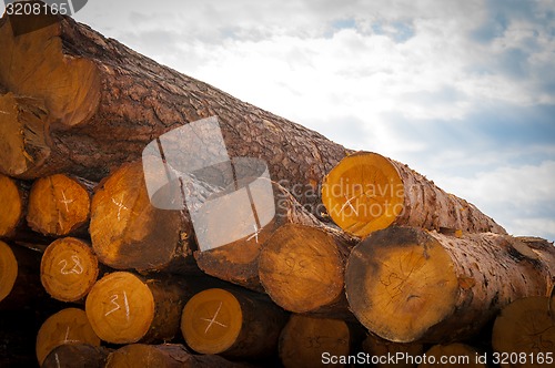 Image of Timber or lumber