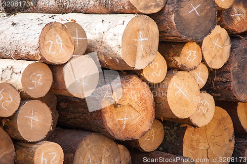 Image of Timber or lumber