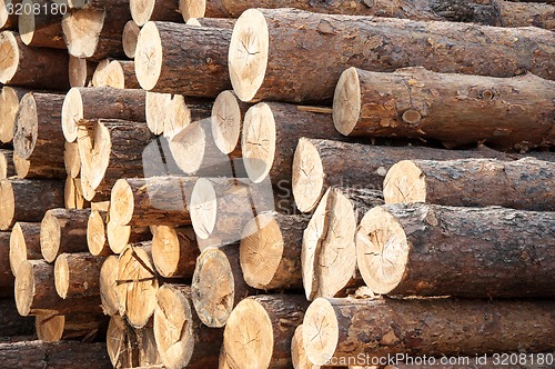 Image of Timber or saw timber