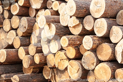 Image of Timber or saw timber