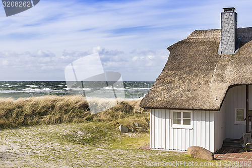 Image of Coast Baltic Sea with dune grass and house