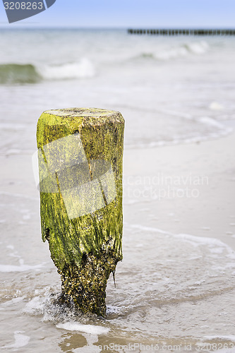 Image of Breakwater pole Baltic Sea