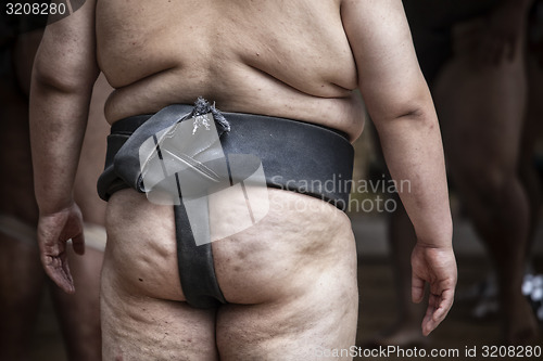 Image of Sumo wrestler