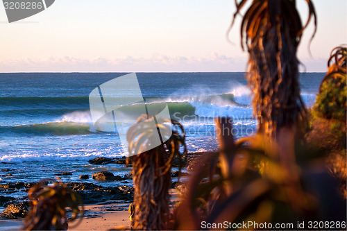 Image of Surfing waves