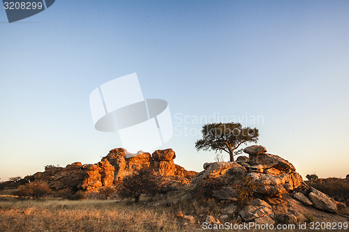 Image of African landscape