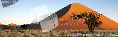 Image of Sand Dune in Namibia.