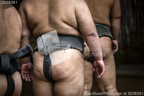 Image of Sumo training