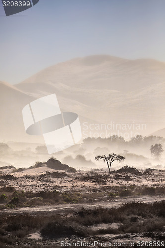 Image of Sand Storm