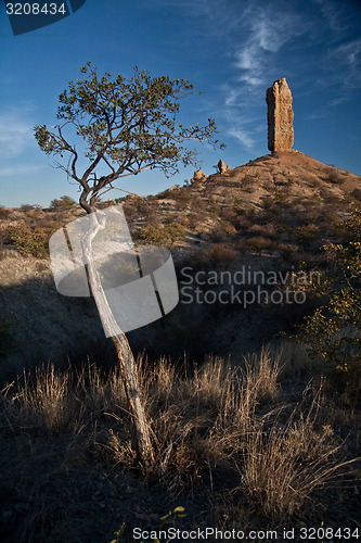 Image of Vingerklipp