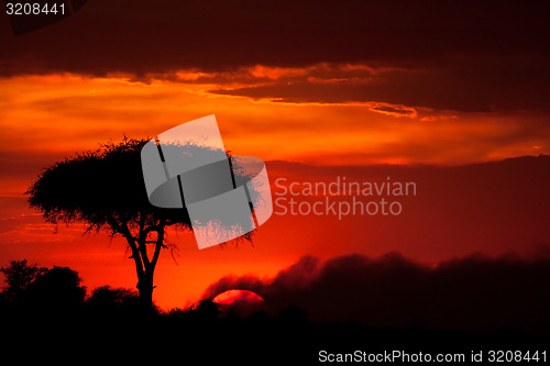 Image of African sunset