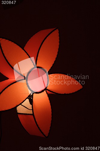 Image of Lit up floral light