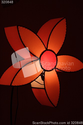 Image of Lit up floral light