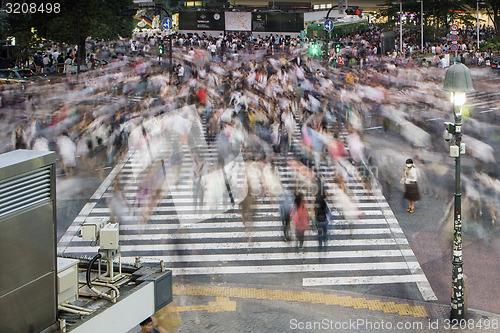 Image of Shibuya Crossing