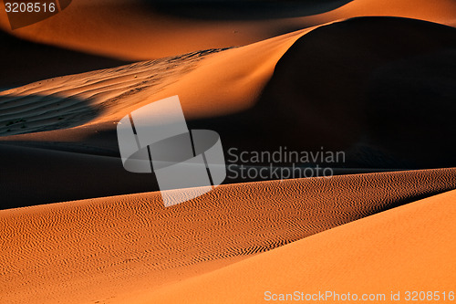 Image of Sand Dune