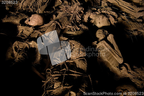 Image of Dead Bodies