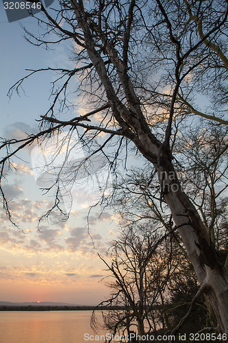 Image of Afternoon light