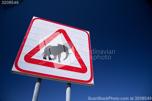 Image of Caution, Elephants