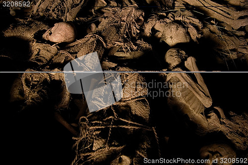 Image of Dead bodies