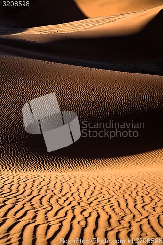 Image of Sand Dune