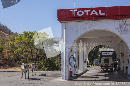 Image of Zebra pitstop