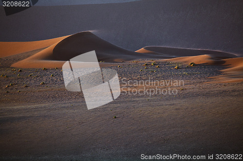 Image of Sand Dune