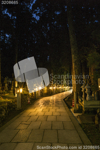 Image of Grave yard path lit up