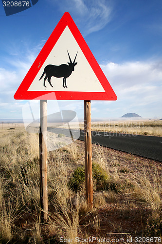 Image of Oryx Sign