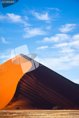 Image of Sand Dune, Namibia.