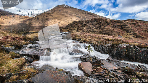 Image of Scottish Highland