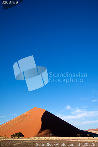 Image of Sand Dune