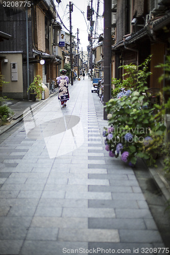 Image of Geisha 