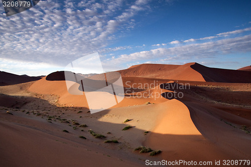 Image of Sand Dunes