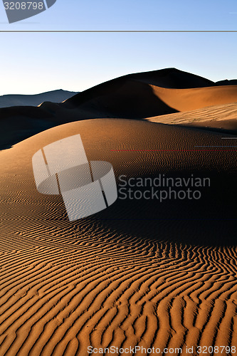 Image of Sand Dune