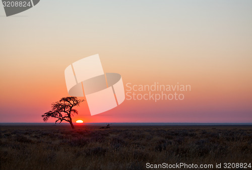 Image of Namibian Sun rise