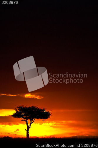 Image of African Sunset