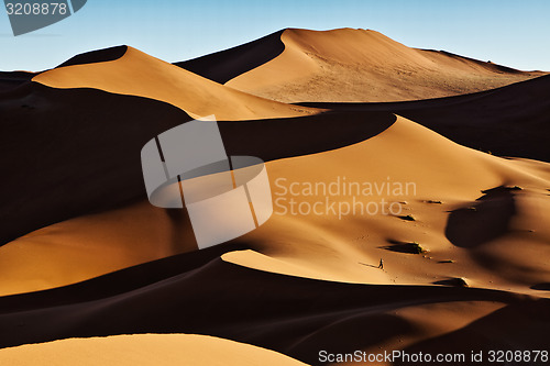 Image of Sand Dunes 