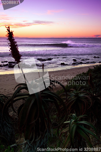 Image of Surfing Wave