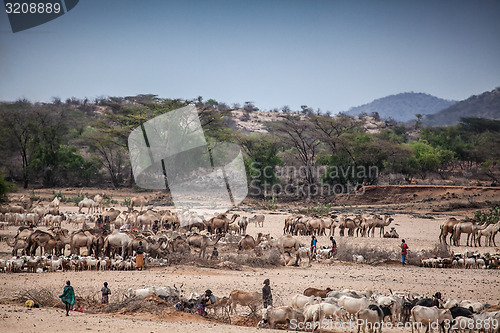 Image of Kenyan scene