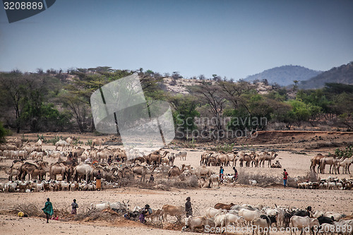 Image of Kenyan scene