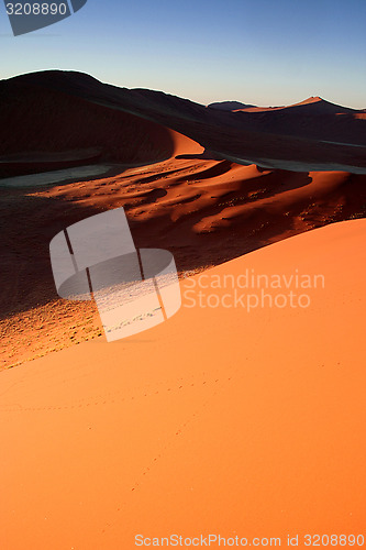 Image of Sand dune